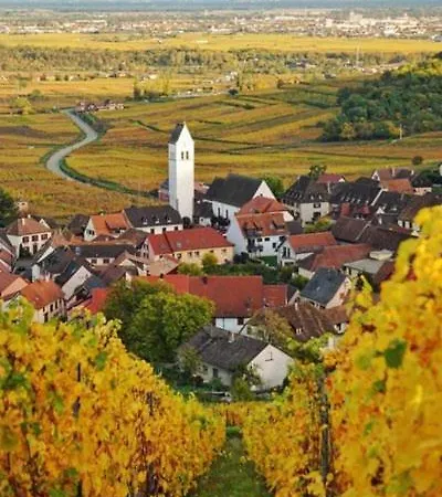 Cosy Proche Colmar * Katzenthal