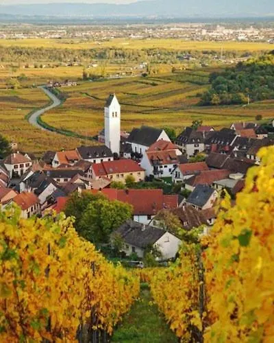 Cosy Proche Colmar * Katzenthal