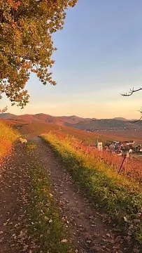 Cosy Proche Colmar Apartment