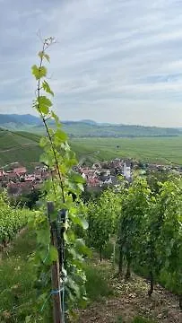 Cosy Proche Colmar Apartment Katzenthal